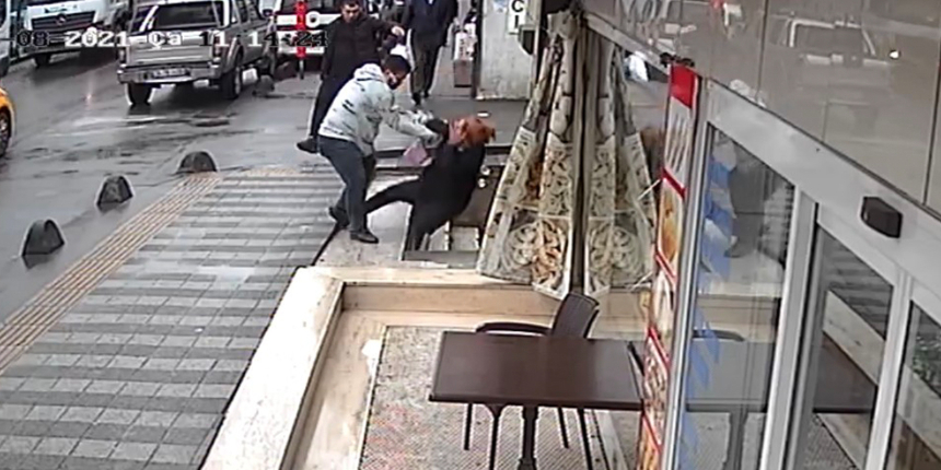 İstanbul'un göbeğinde dehşet anları: Eşini yumruklayıp merdivenlerden aşağı yuvarladı