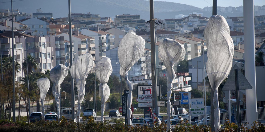Kuşadası'nda ağaçlara özel koruma