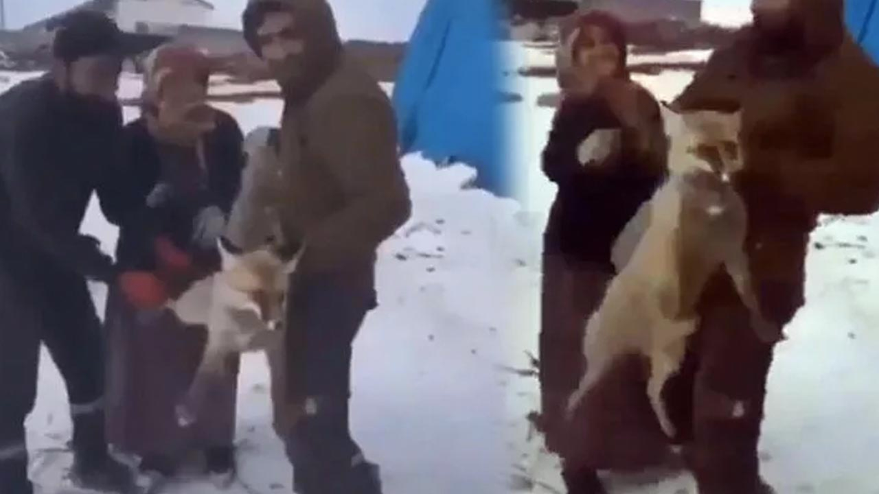 Tilkiye işkenceye soruşturma başlatıldı: Valilik açıkladı