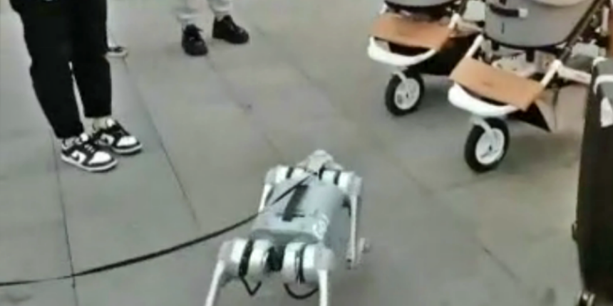 Geleceğe hoşgeldiniz: Sokakta robot köpek gezdirdiler!