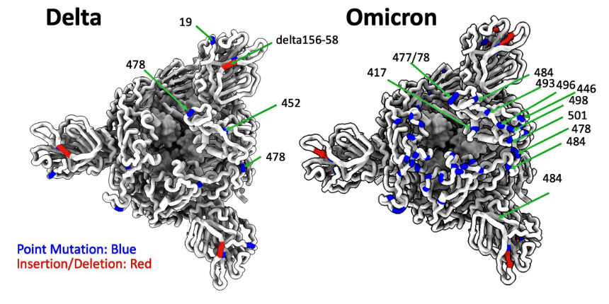 Omicron tüm hastalığı değiştirdi: İşte yeni semptomlar ve belirtiler!