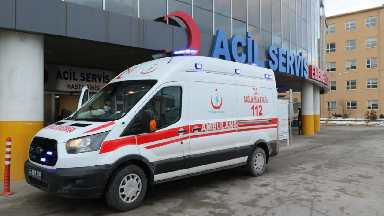 Erzincan’da 8 yaşındaki çocuk, sokak köpeklerinin saldırısına uğradı!
