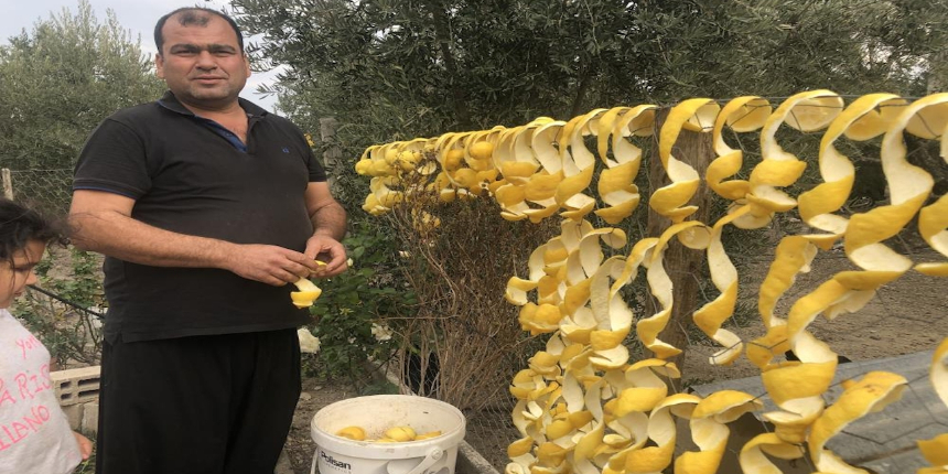 Limonun kabuğu, kendisinden daha çok gelir getiriyor