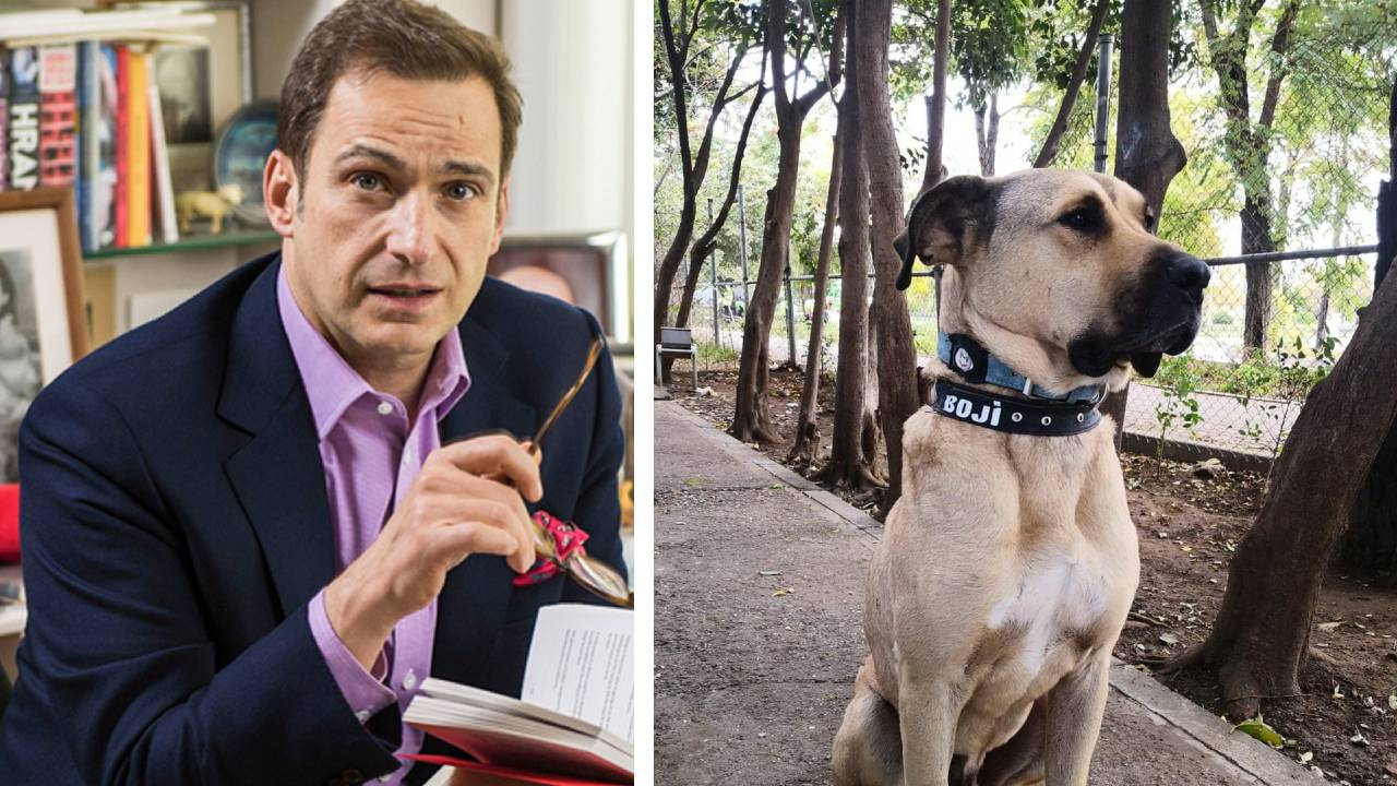 İstanbul'un dünyaca ünlü köpeği Boji'yi Ömer Koç sahiplendi
