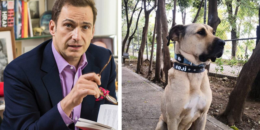 İstanbul'un dünyaca ünlü köpeği Boji'yi Ömer Koç sahiplendi