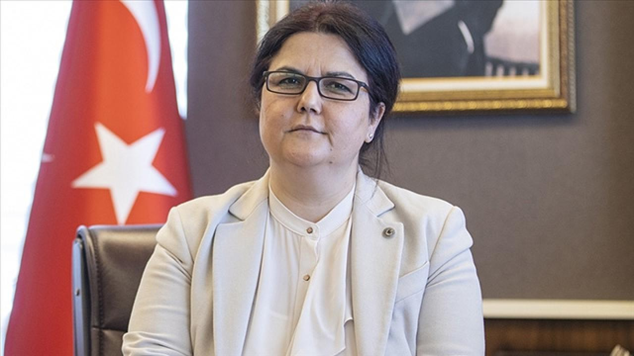 Sosyal ve Ekonomik Destek (SED) programı 350 lira artırıldı