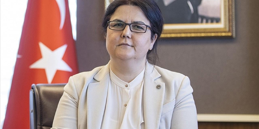 Sosyal ve Ekonomik Destek (SED) programı 350 lira artırıldı