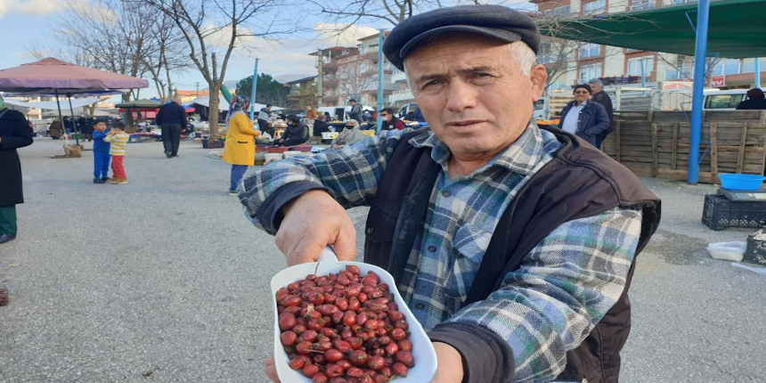 Dağlarda yetişen kuşburnu, pandemide en çok ilgi gören ürünlerden oldu