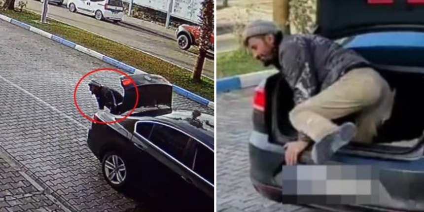 'İşçisini bagajda taşıyan patron' olayının perde arkası ortaya çıktı: Kendi rızasıyla bindi!