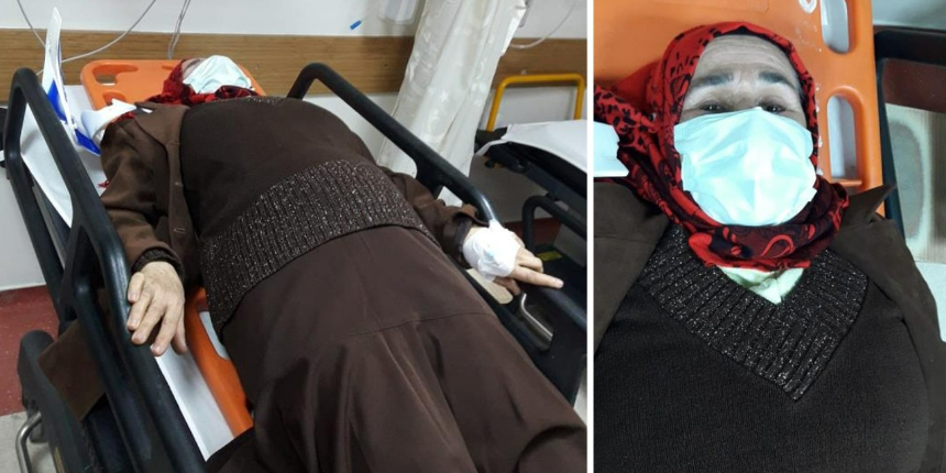 Aydın'da sokak köpekleri yaşlı kadını hastanelik etti