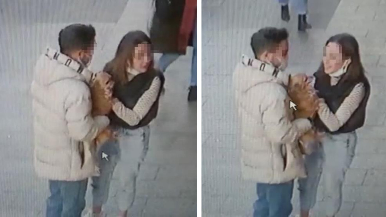 3 bin dolar değerindeki köpeği seve seve çaldılar! Sevgililerin rahat tavırları 'pes' dedirtti!