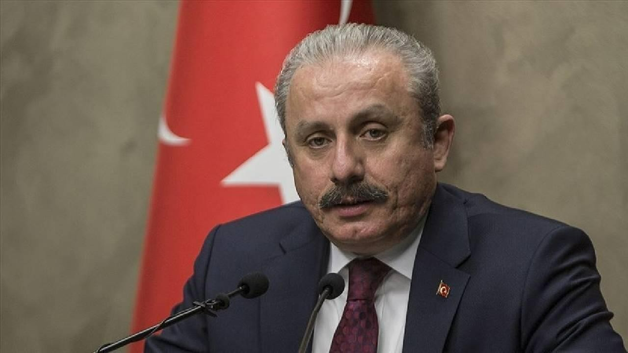 TBMM Başkanı Şentop'dan polise tokat atan Aydeniz'e sert tepki: Dokunulmazlığı kaldırılmalı