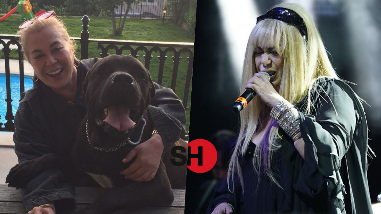 Köpeğinin ölümüyle yıkılan Zerrin Özer'den haber var! Çareyi evinden taşınmakta buldu