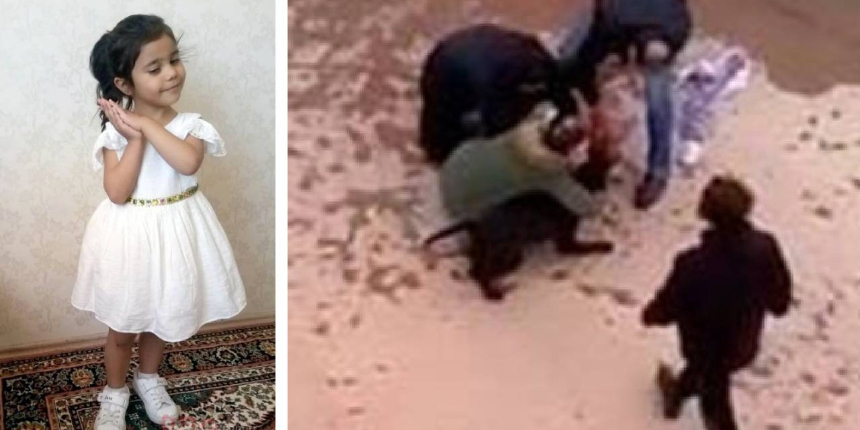Asiye’ye saldıran Pitbullar iddianamede silah sayıldı