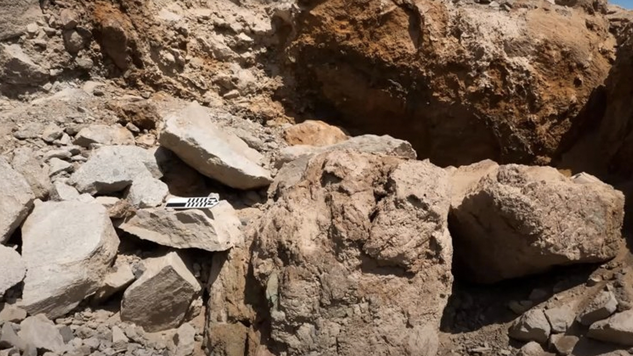 Bilim insanları 'eşsiz' olarak niteledi: Yüzlercesi bulundu
