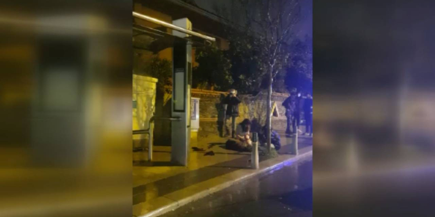 Sahibinin gezdirdiği köpek İETT durağında elektrik akımına kapıldı