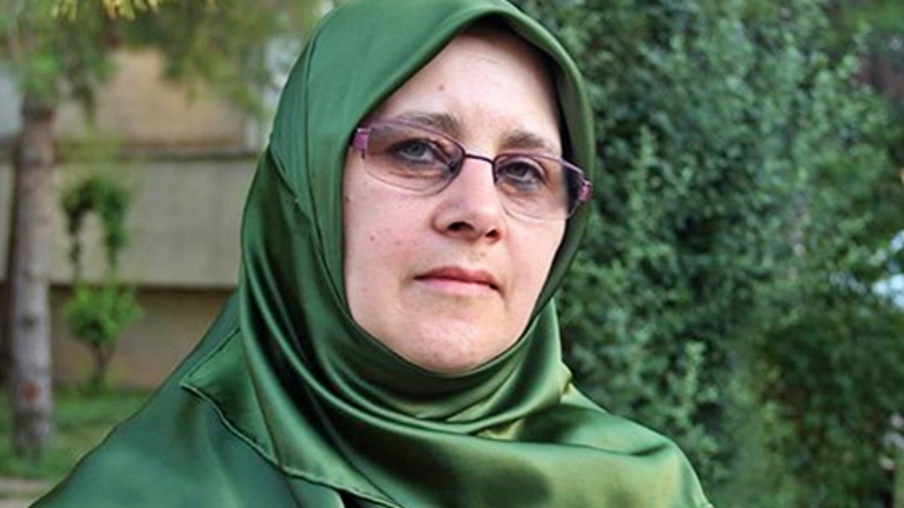 HDP'li vekil, Yunan politikacıdan beter! Kaya: Dilerim geçmiş olmasın!