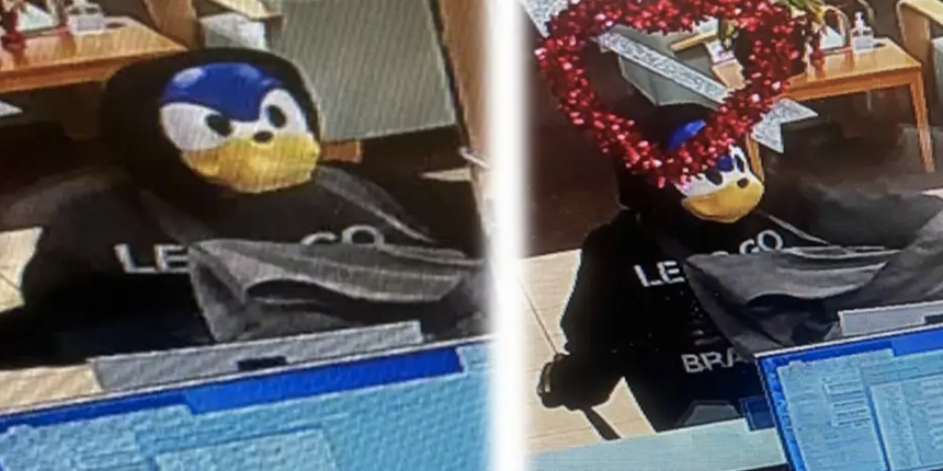 Sonic maskeli hırsız ortalığı birbirine kattı, hızla kaçtı