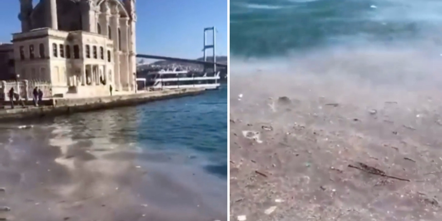 Bu da İBB müsilajı: Ortaköy sahili haftalardır pislik içinde! Ne temizleyen var ne ilgilenen...