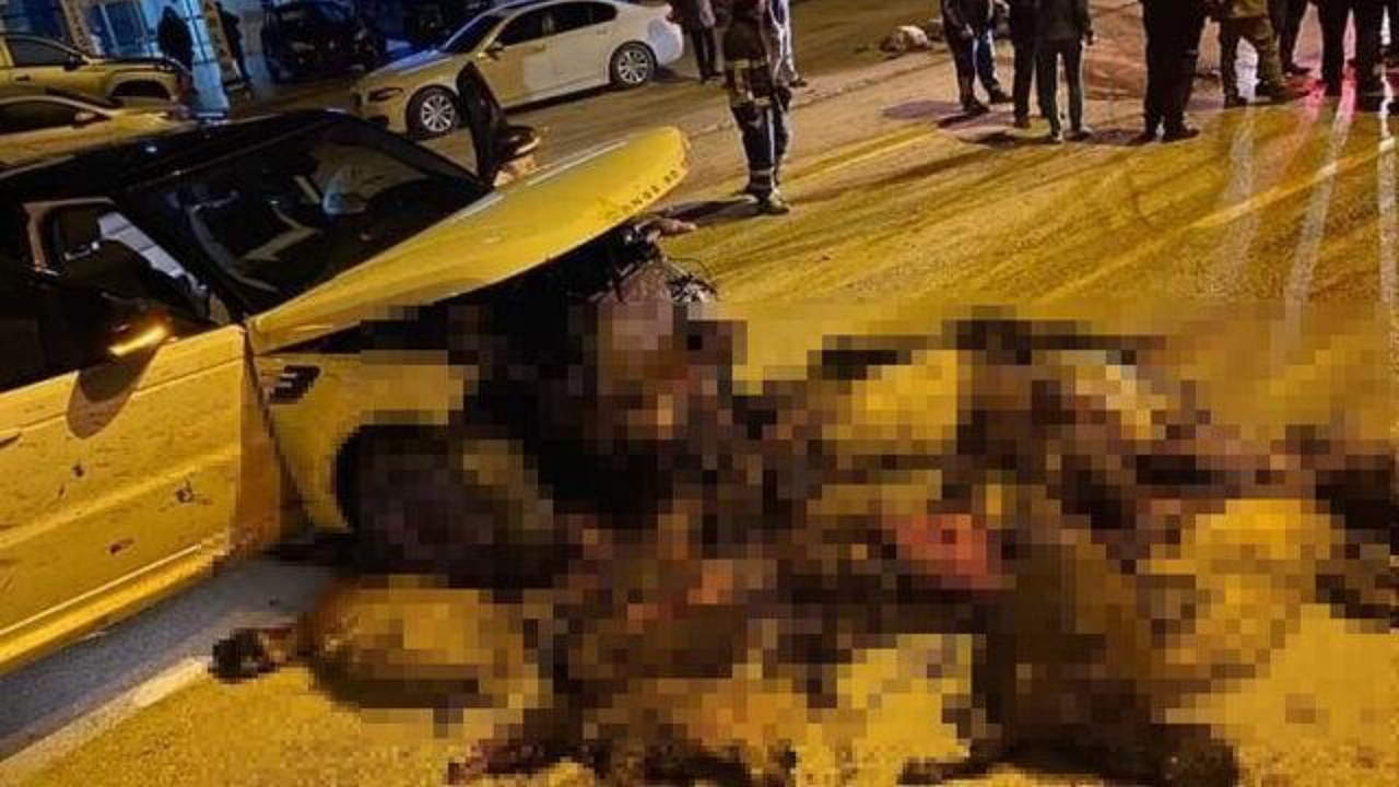 Hatay'da cip, yolun karşısına geçen koyun sürüsüne daldı! Onlarca hayvan telef oldu...