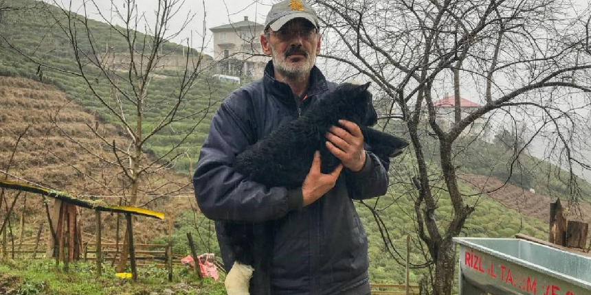 Bacağı kırılan kuzusunu devlet hastanesine götürdü, ilgi odağı oldu!