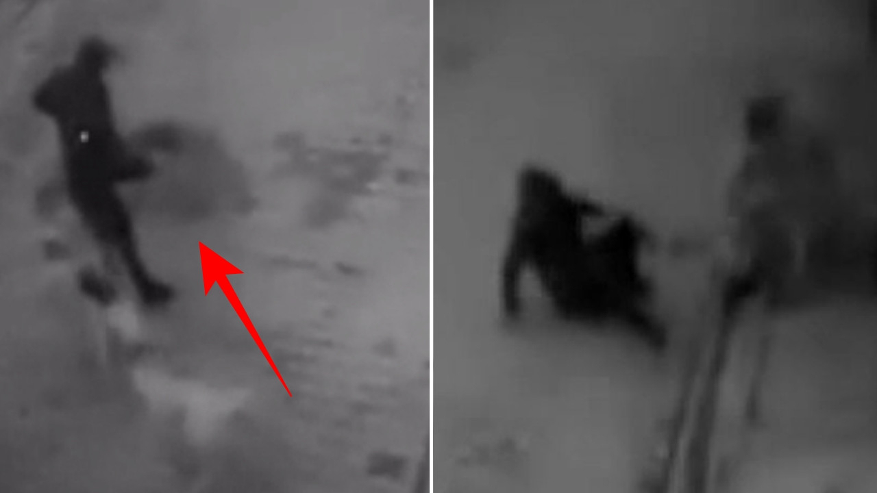 Köpeğini gezdiren vatandaş dehşeti yaşadı: Köpek sürüsü saldırdı!