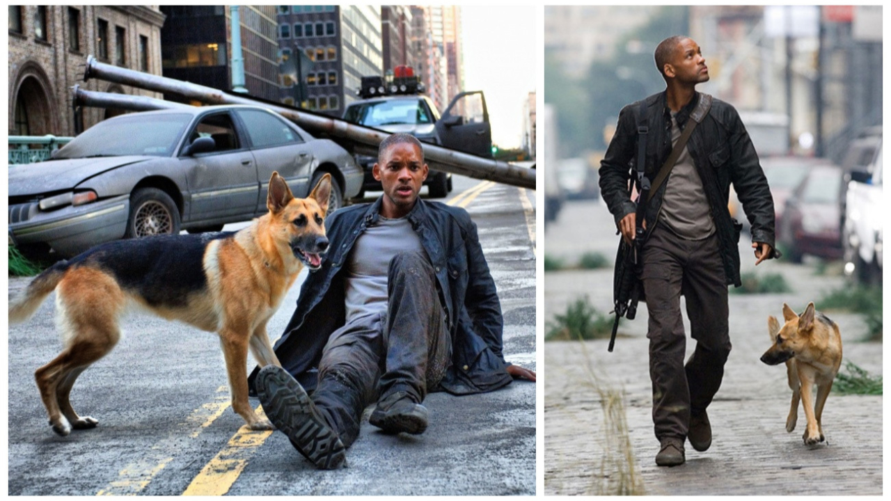 I Am Legend (Ben Efsaneyim) filminin devamı çekilecek