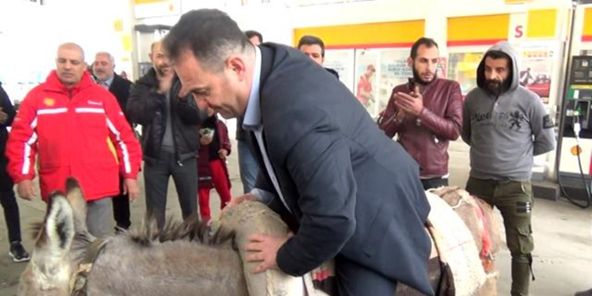 Gelecek Partili Mehmet Danaoğlu'nun "eşekli" protestosunda kaza!
