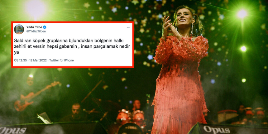 Yıldız Tilbe'nin 'Köpeklere zehirli et verin' açıklamasına ünlü isimlerden tepki yağdı