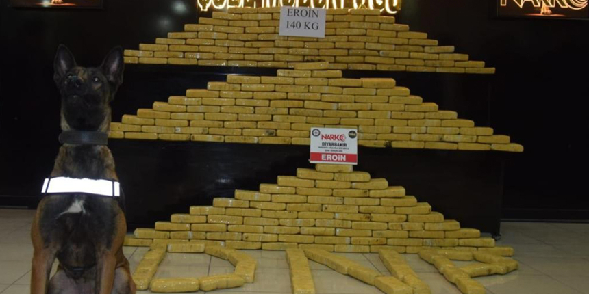 Diyarbakır'da dev uyuşturucu operasyonu: 140 kilogram uyuşturucu Risko ve Çiko'nun burnundan kaçmadı