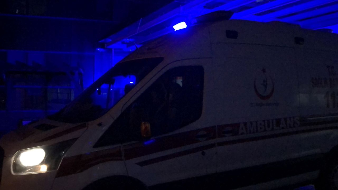 Defne yaprağı yüzünden muhtarı vurdu