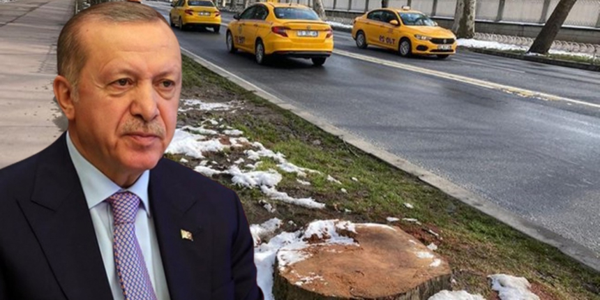 Erdoğan'dan İBB'ye ağaç tepkisi: Gezi'de fırtına koparanlar kılını bile kıpırdatmıyor!