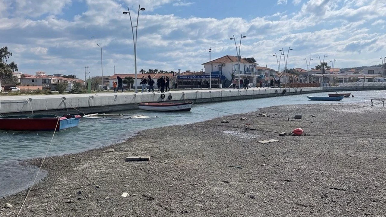 Ege sahillerinde vatandaşı korkutan görüntü: Uzmanlar 'Endişe edecek bir durum yok" dedi