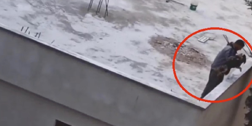Yavru köpeğe akılalmaz işkence! Önce dövdü, sonra çatıdan attı
