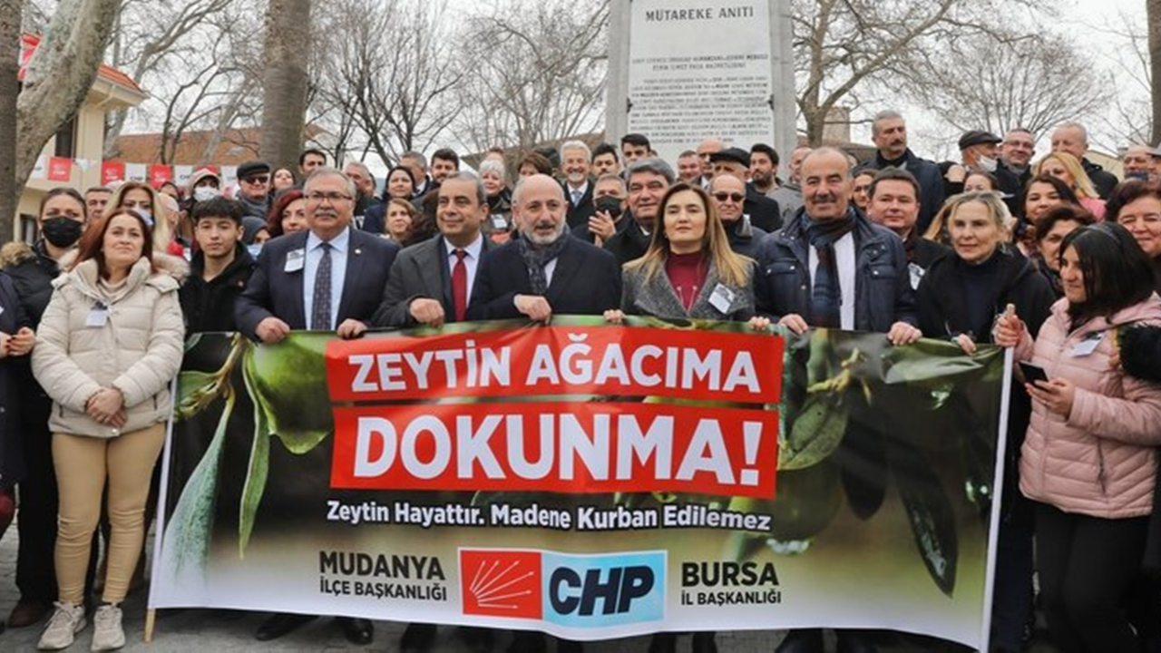 'Zeytinime dokunma' eylemine katılan CHP'li başkanın zeytinlikleri katlettiği ortaya çıktı