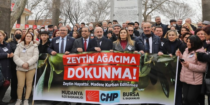 'Zeytinime dokunma' eylemine katılan CHP'li başkanın zeytinlikleri katlettiği ortaya çıktı