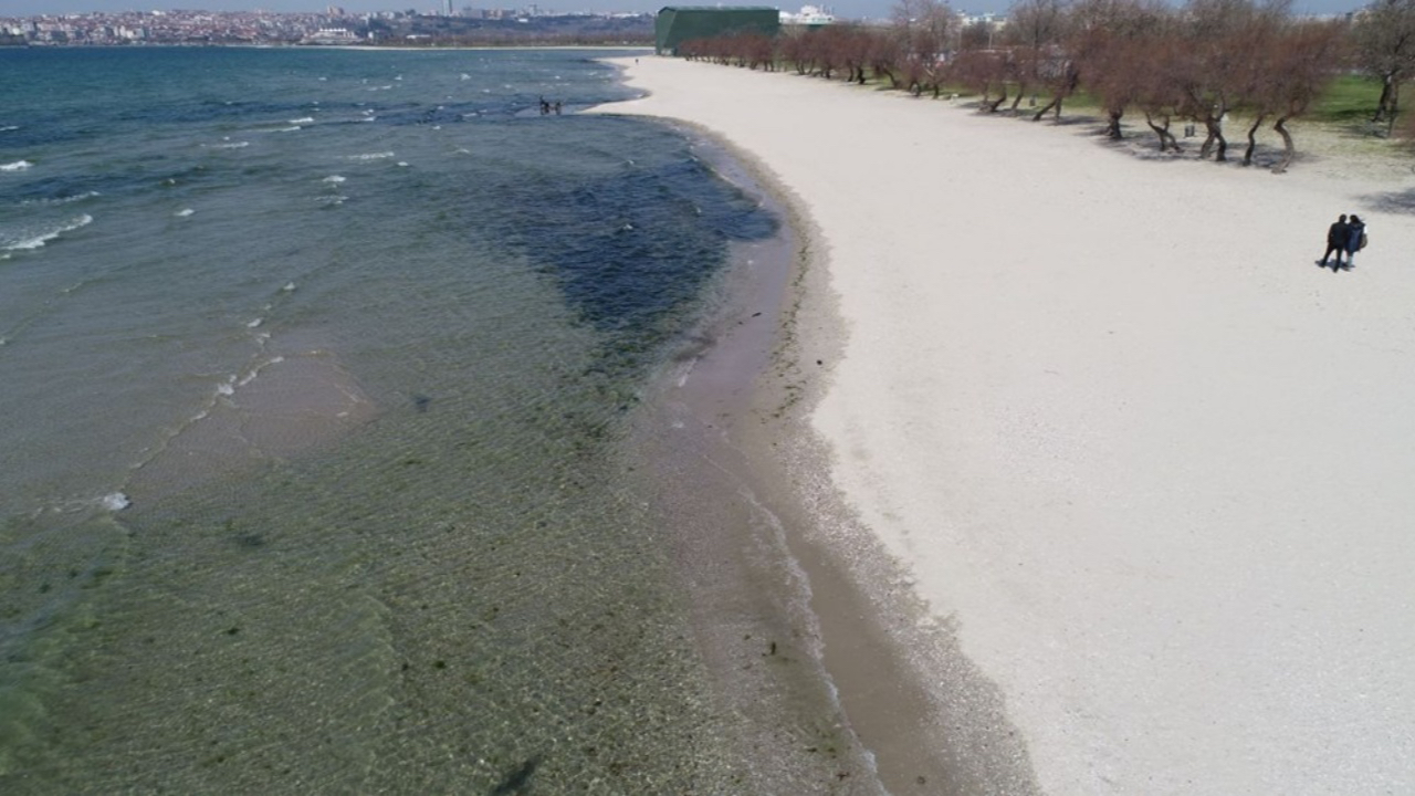 Deniz Çekilmesi olayı, deniz çekilmesinin nedeni
