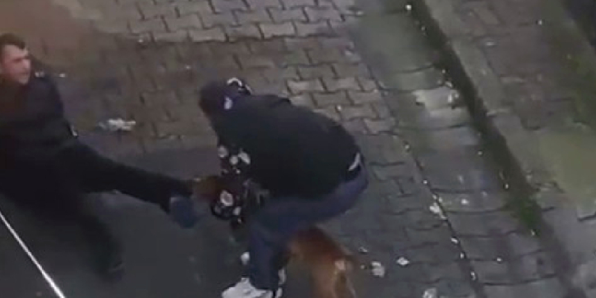 Güngören’de pitbul dehşeti! Köpeğin saldırdığı genci zor kurtardılar