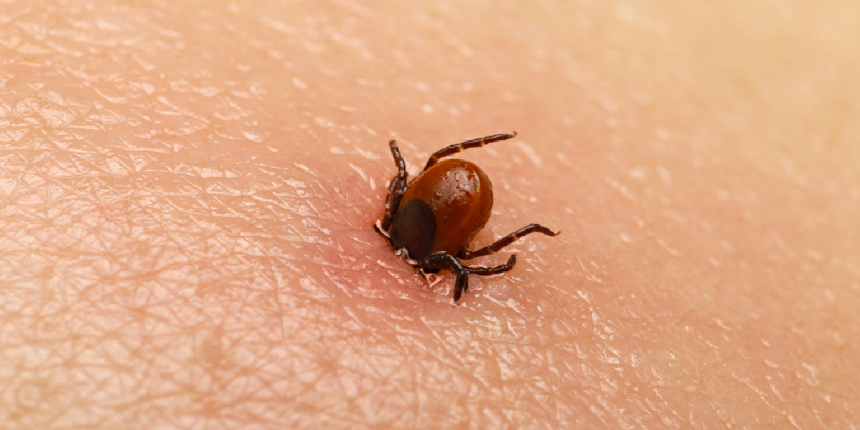 İngiltere'de Ebola benzeri virüs paniği! Kırım Kongo Kanamalı Ateşi virüsü kaynaklı vaka tespit edildi