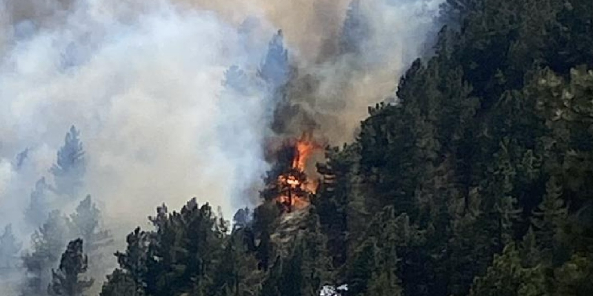 ABD’nin Colorado eyaletinde orman yangını! 19 bin kişi tahliye edildi