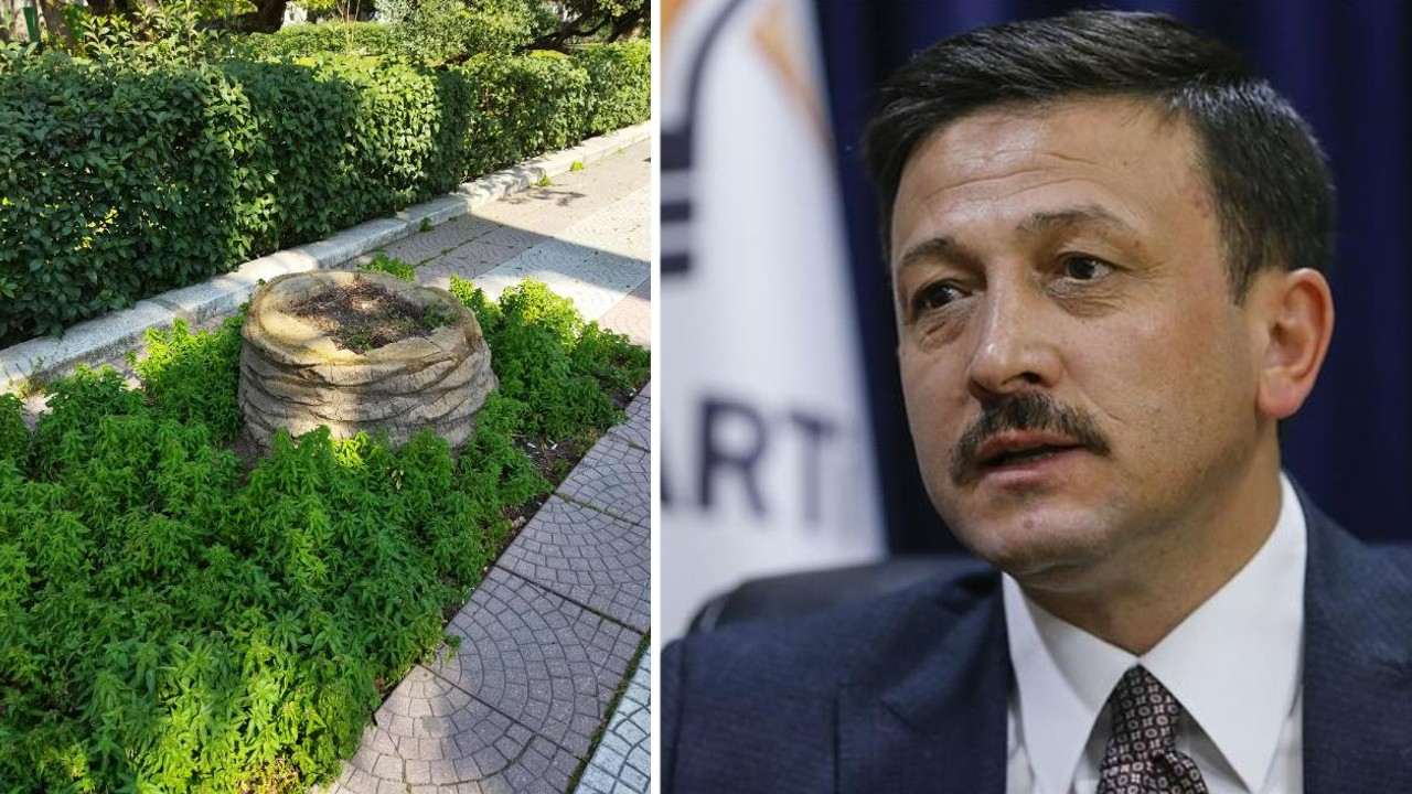 AK Partili Hamza Dağ: Ağaçları korumak yerine keserek sorunu çözdüklerini düşünüyorlar