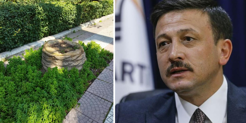 AK Partili Hamza Dağ: Ağaçları korumak yerine keserek sorunu çözdüklerini düşünüyorlar