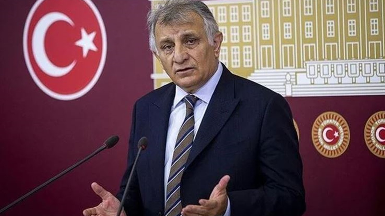 HDP'li vekilden PKK tanımı: Siyaset yaparken şiddet kullanan teşkilat