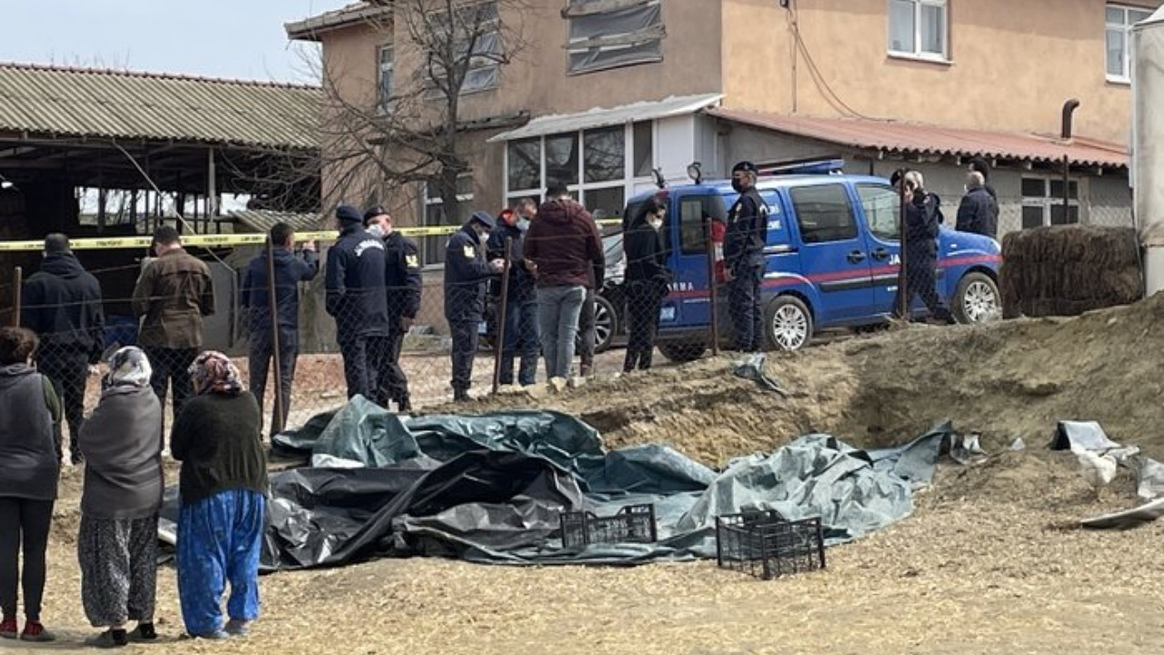 Edirne'de katliam: 4 kişilik ailenin, tüfekle vurulmuş cansız bedenleri bulundu! Valilikten açıklama geldi...