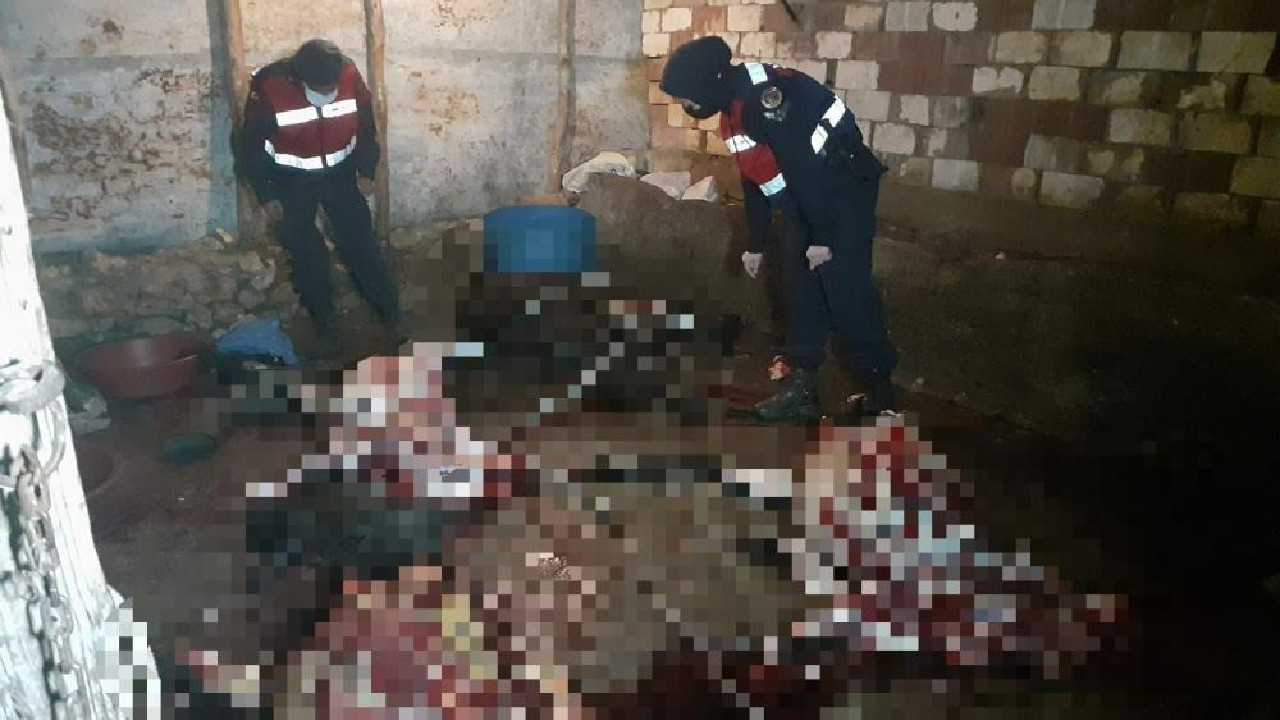 Vatandaşa eşek eti yedireceklerdi! Suçüstü yakalandılar!
