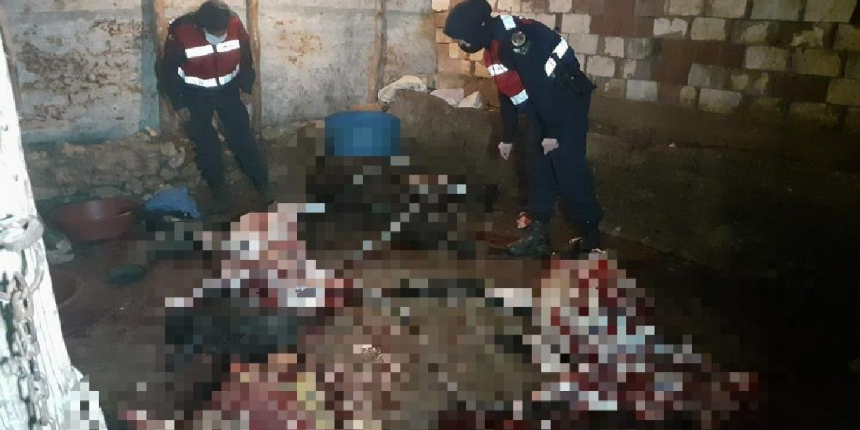 Vatandaşa eşek eti yedireceklerdi! Suçüstü yakalandılar!