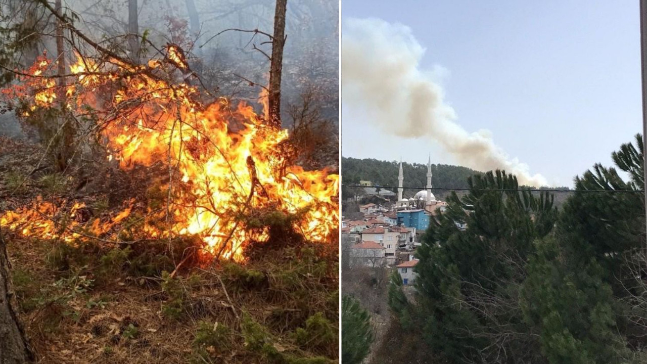 Bursa ve İzmir'de peş peşe 4 yangın: Alevlere müdahale sürüyor!