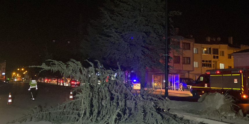 Bursa'da lodos fırtınası! Ağaçlar ve tuğlalar araçların üzerine devrildi