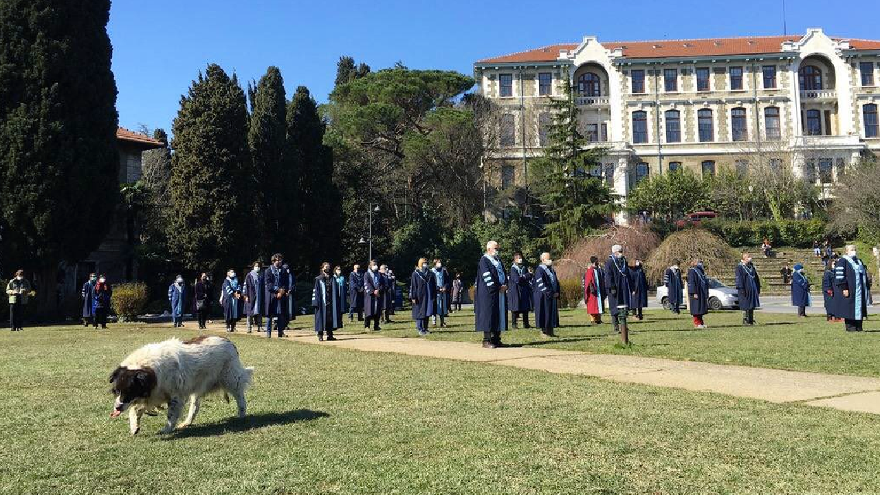Boğaziçi eylemcileri ve destekçileri, köpeğin ölüsünü bile sömürüyorlar
