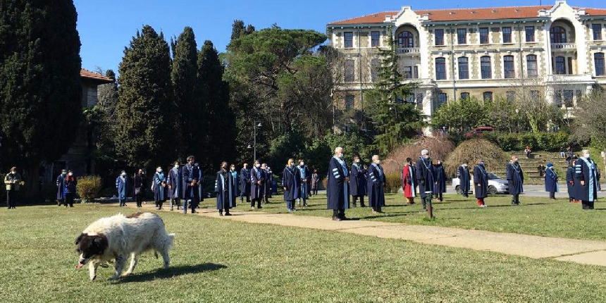 Boğaziçi eylemcileri ve destekçileri, köpeğin ölüsünü bile sömürüyorlar